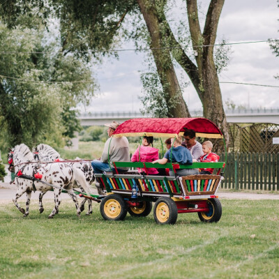 Piknik Rodzinny 2018 (#12)