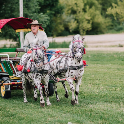 Piknik Rodzinny 2018 (#25)